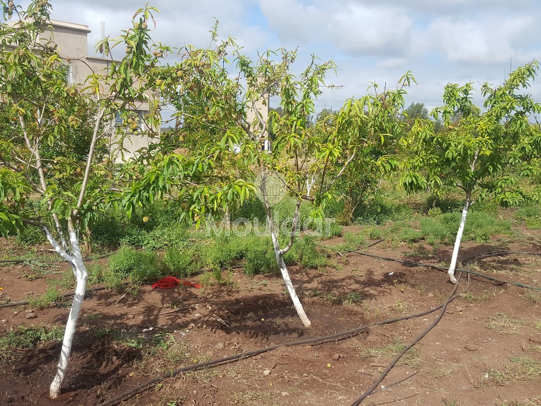 Satılık çiftlik: Casablanca ile El Jadida arasında 3500 m², mükemmel konum! - Photo 7