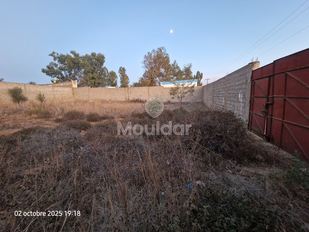 Teren industrial de vânzare în Ksar el-Kebir - 1000 m² - Photo 5
