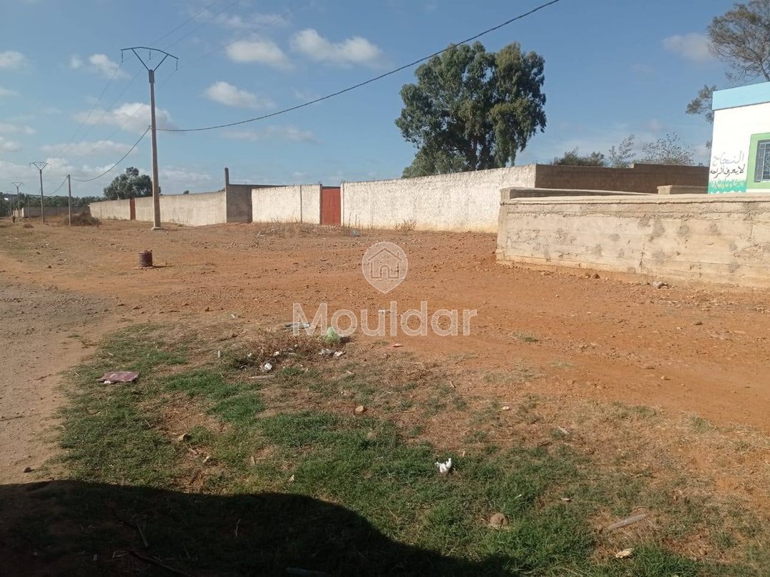 Teren industrial de vânzare în Ksar el-Kebir - 1000 m² - Photo 2