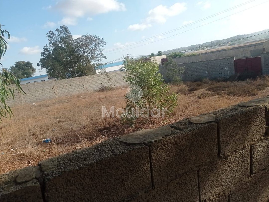 Teren industrial de vânzare în Ksar el-Kebir - 1000 m² - Photo 1