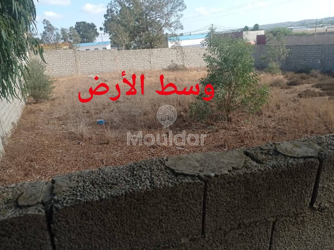 Teren industrial de vânzare în Ksar el-Kebir - 1000 m² - Photo 6