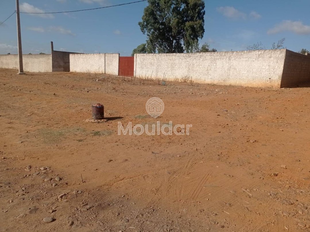 Teren industrial de vânzare în Ksar el-Kebir - 1000 m² - Photo 4