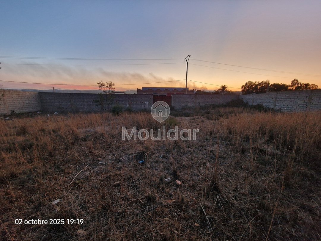 Teren industrial de vânzare în Ksar el-Kebir - 1000 m² - Photo 3