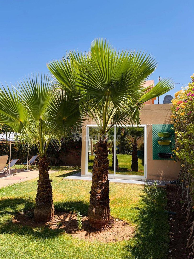 Villa di lusso a Marrakech: Comfort e evasione al sole - Photo 16