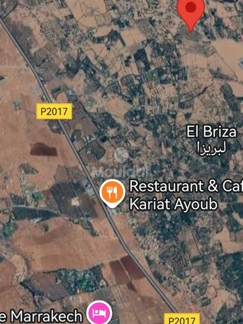 أرض زراعية للبيع في مراكش - طريق أوركيـة - Photo 5