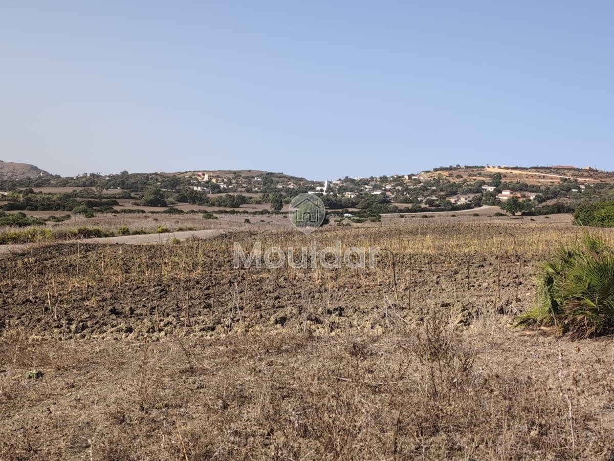 Terrain Agricole de 3 Hectares à Vendre à Asilah - Photo 1