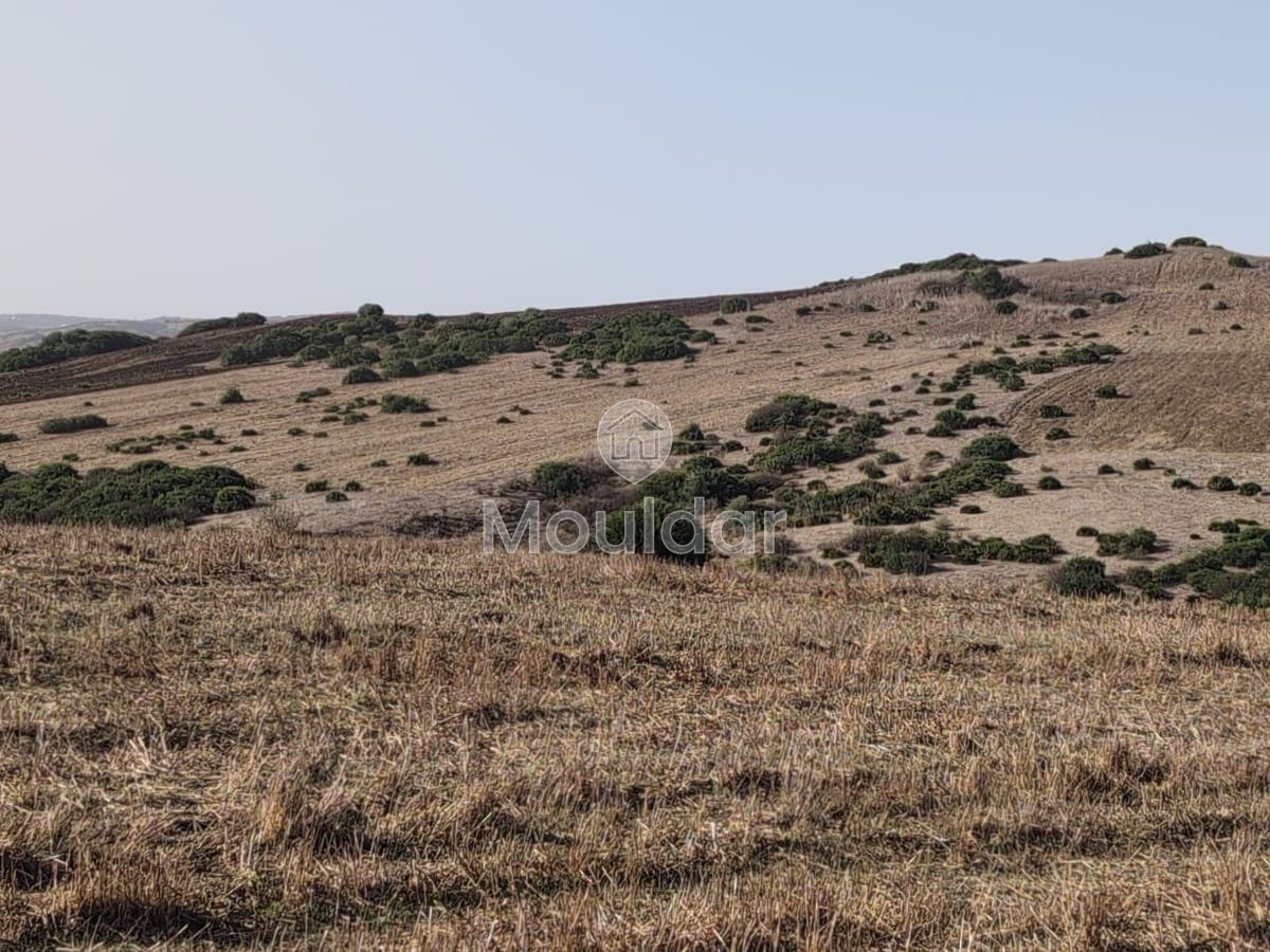 30 Héctares titrés à vendre - Photo 6