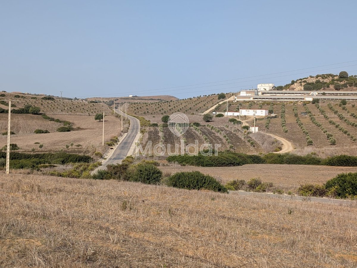 30 Héctares titrés à vendre - Photo 8