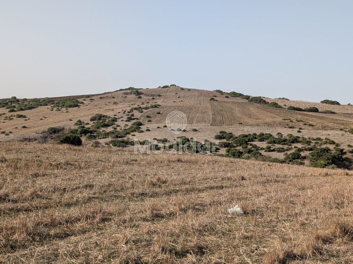 30 Héctares titrés à vendre - Photo 4