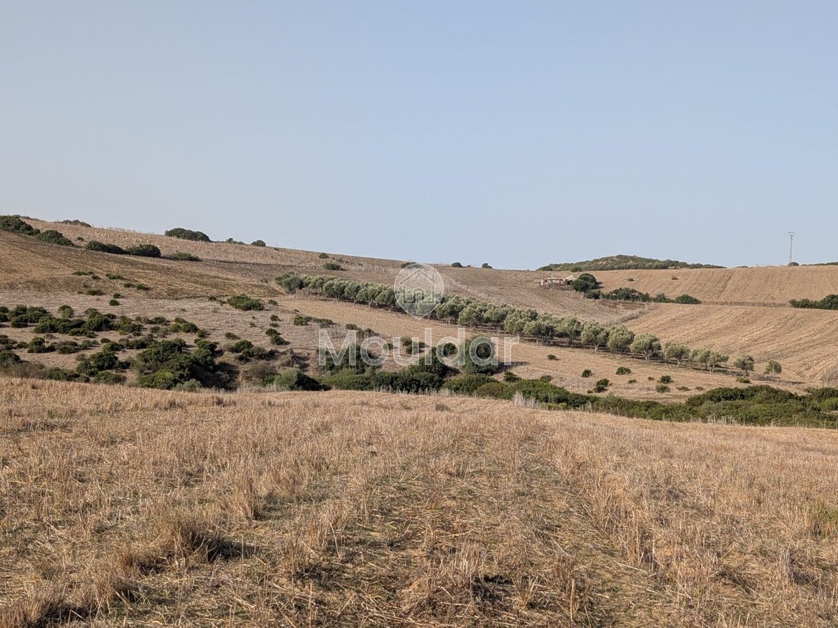 30 Héctares titrés à vendre - Photo 5