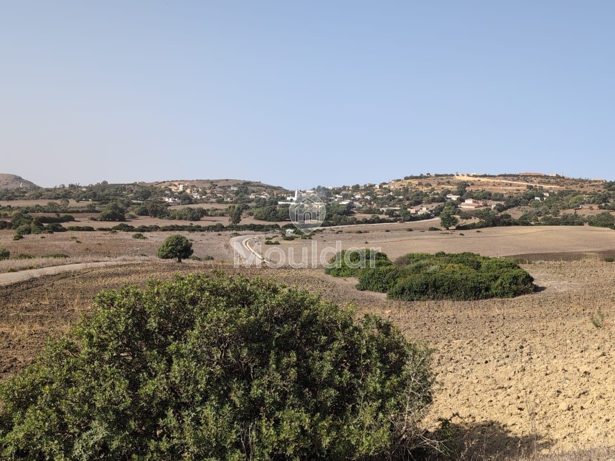 Terrain Agricole de 3 Hectares à Vendre à Asilah - Photo 4