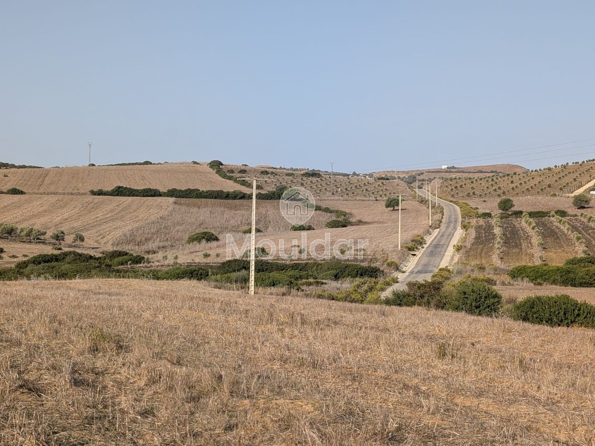 30 Héctares titrés à vendre - Photo 7