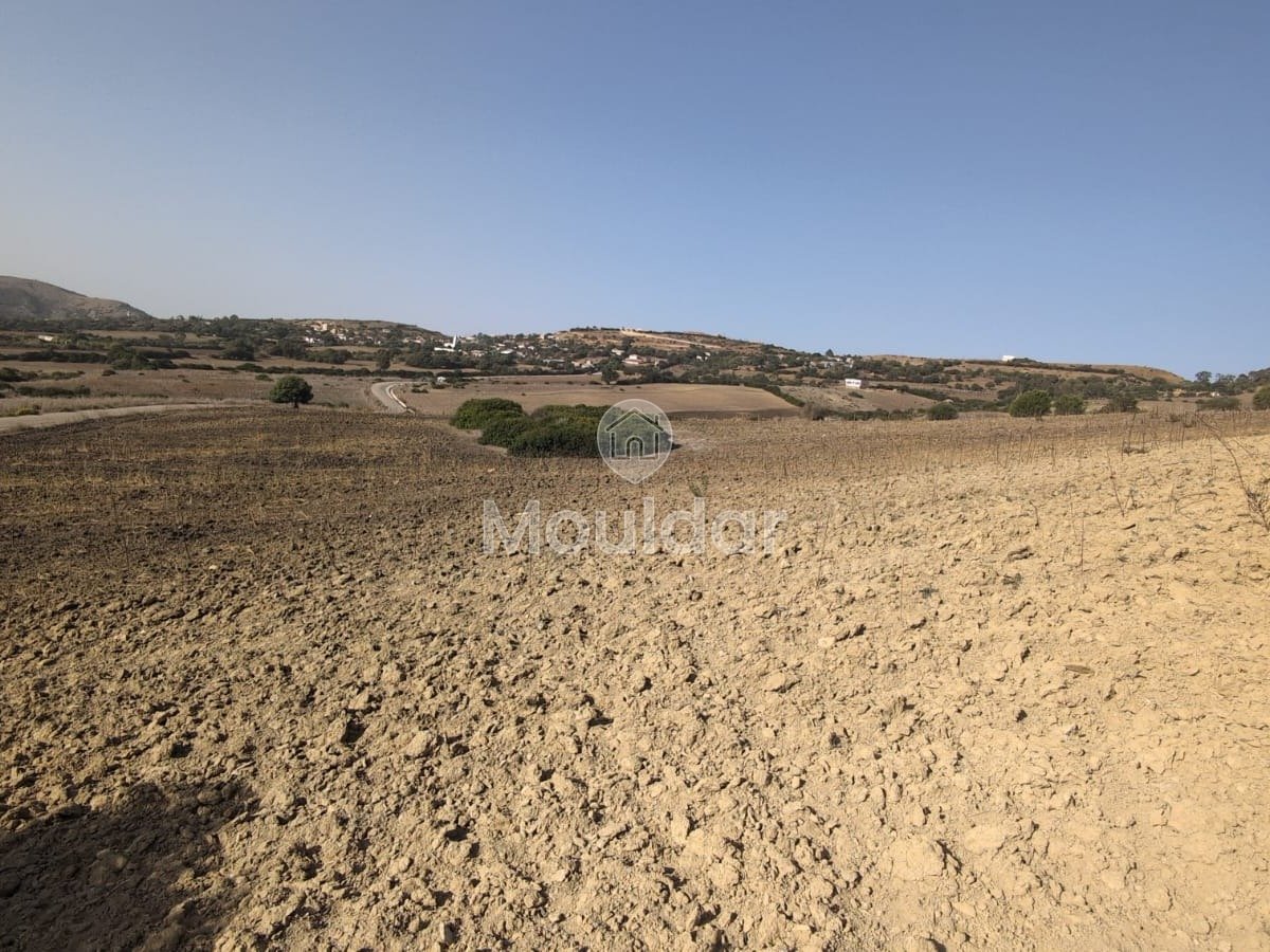 Terrain Agricole de 3 Hectares à Vendre à Asilah - Photo 7