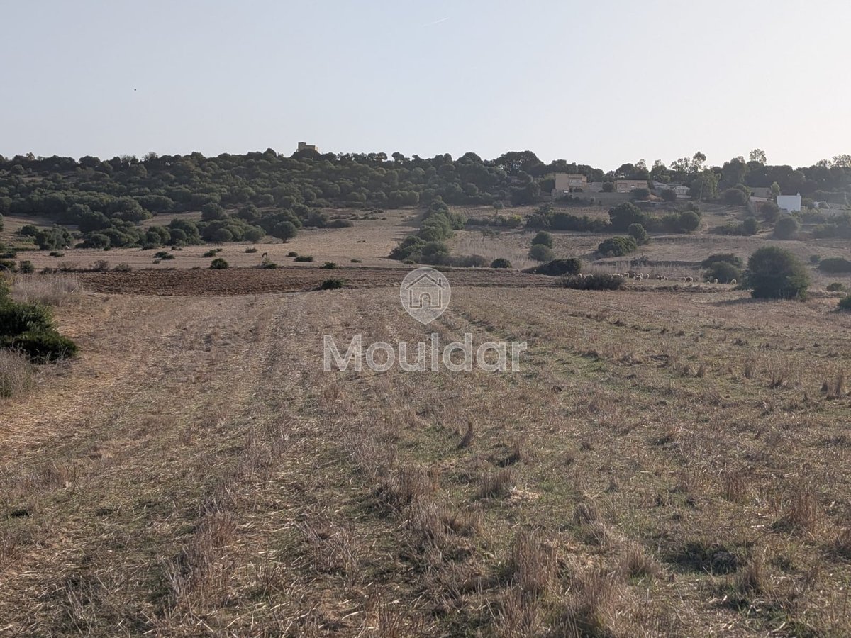 30 Héctares titrés à vendre - Photo 2