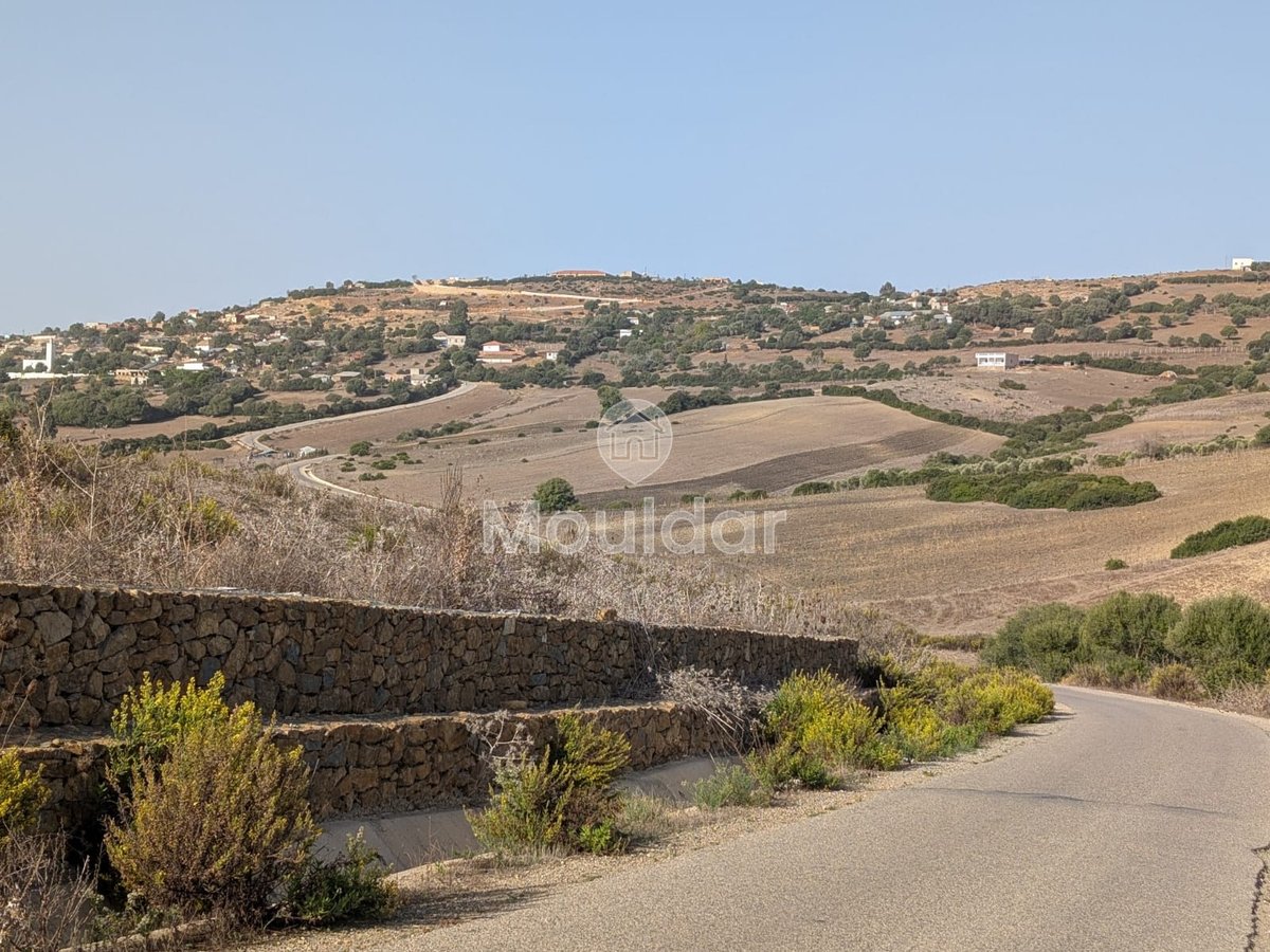 Terrain Agricole de 3 Hectares à Vendre à Asilah - Photo 5