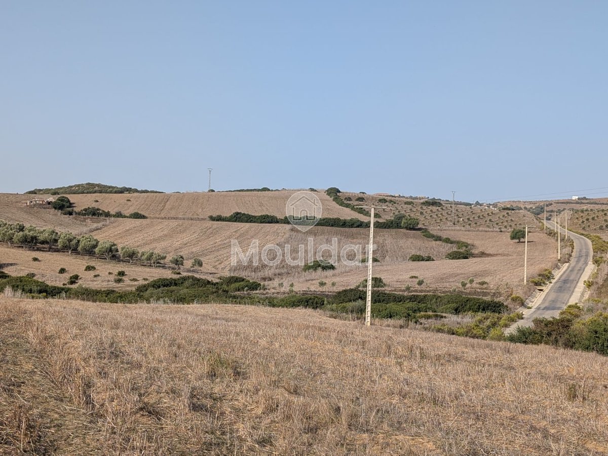 30 Héctares titrés à vendre - Photo 1