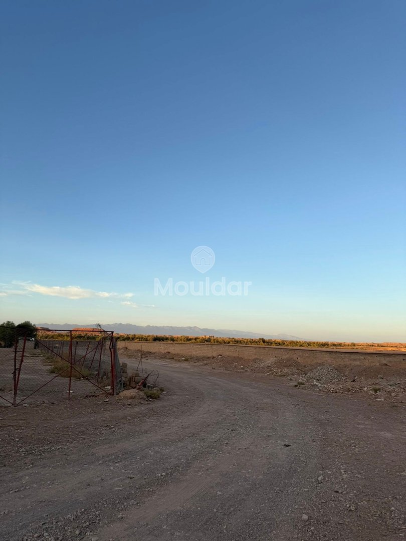 Teren agricol de vânzare în Ouarzazate - 3000 m² - Photo 2