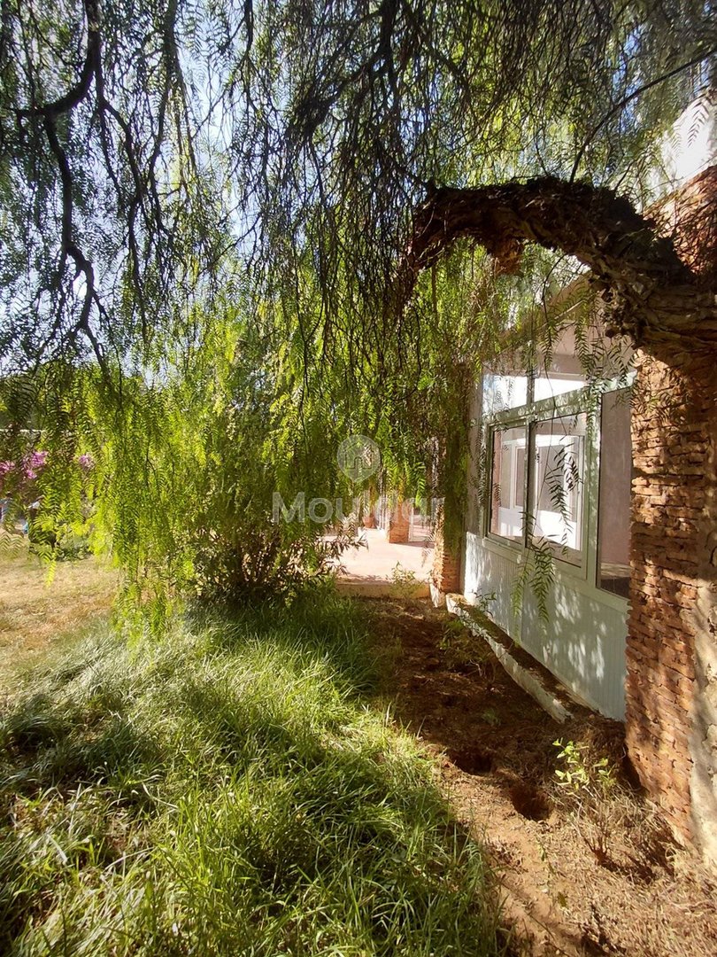 Essaouira'da rüya bir villa: konfor, yüzme havuzu ve bahçe - Photo 3