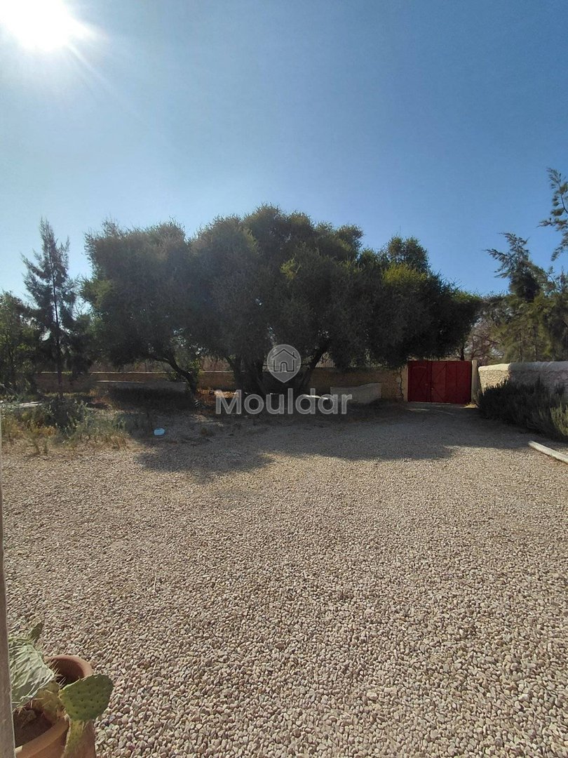 Essaouira'da rüya bir villa: konfor, yüzme havuzu ve bahçe - Photo 20