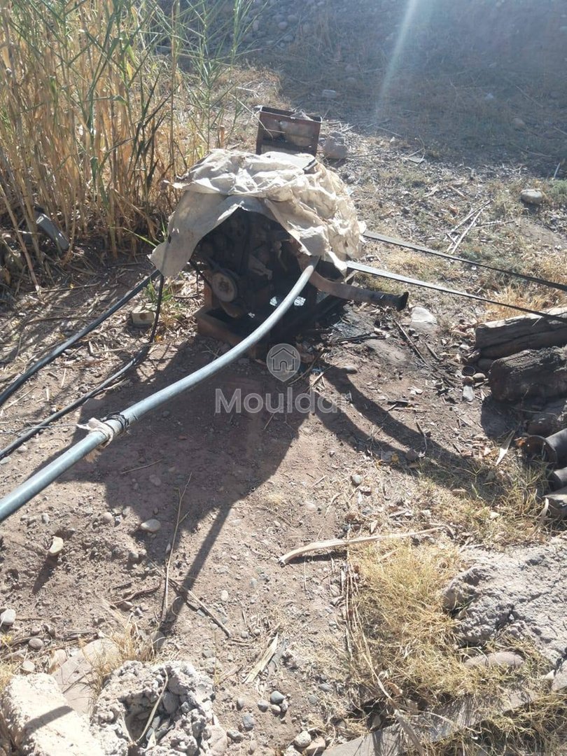 أرض زراعية للبيع في مراكش - 25,000 م² - Photo 4