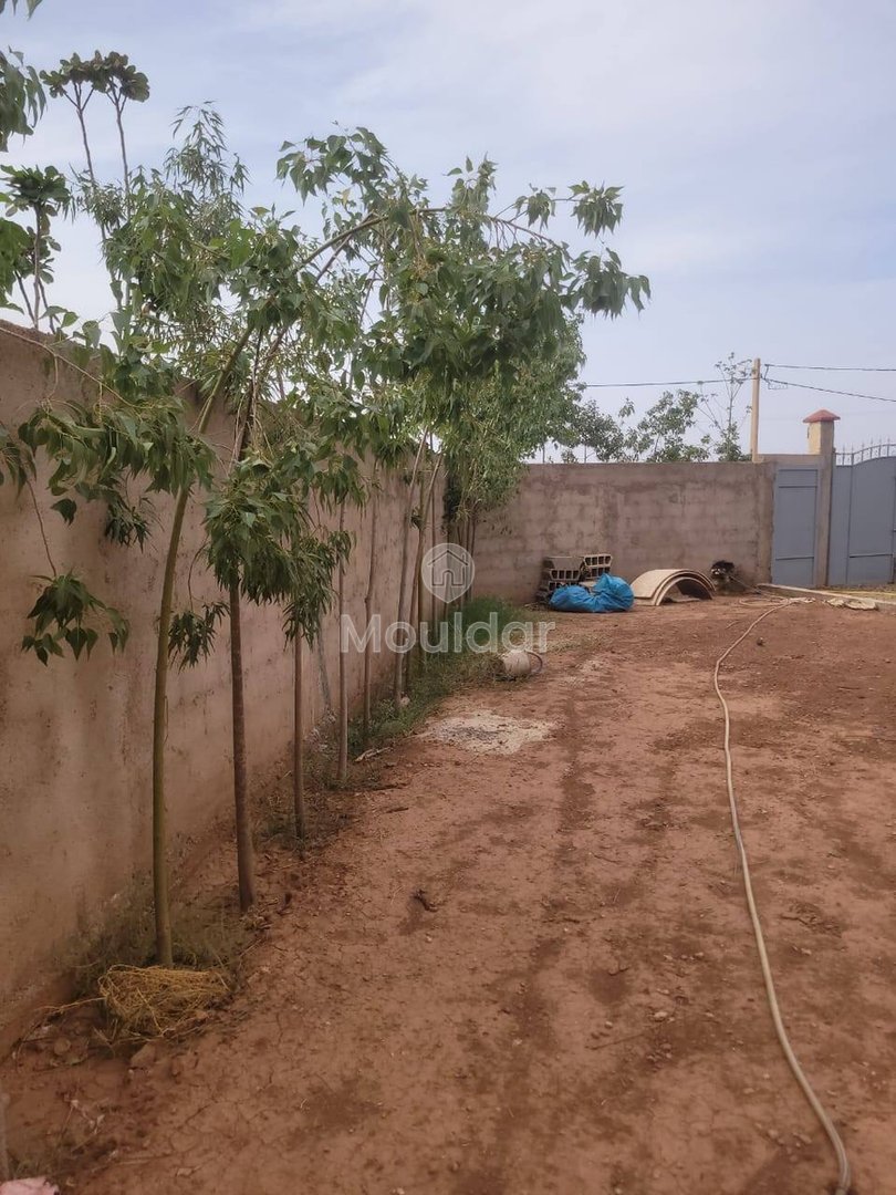 Droomvilla in Marrakech met zwembad - Uitstekende verkoop - Photo 3