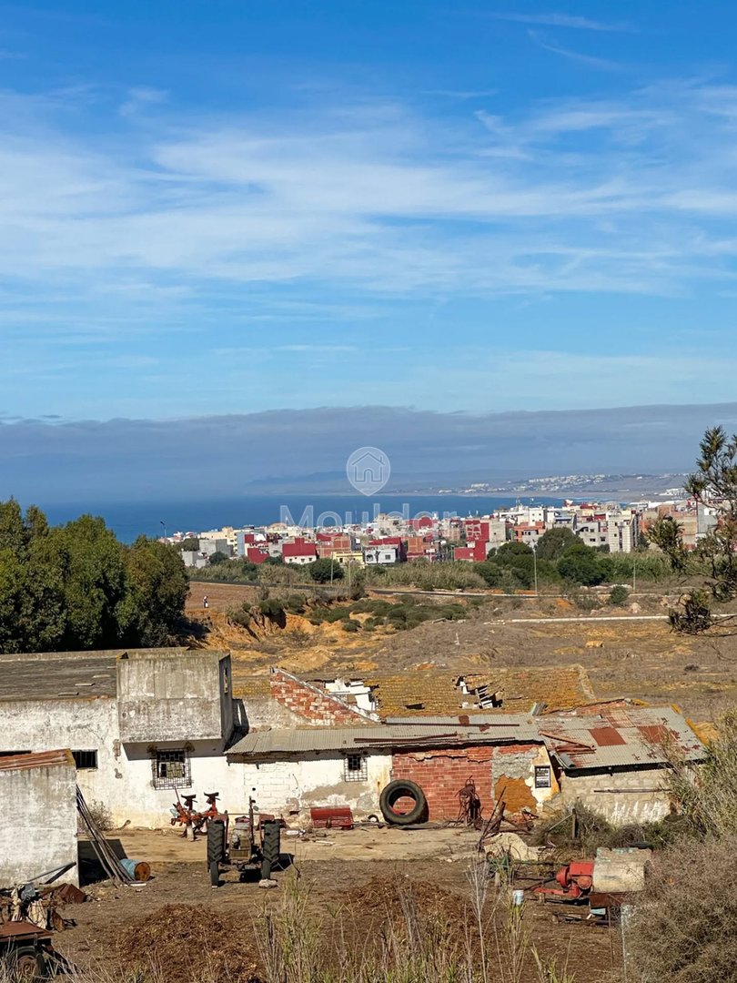 Nasze mieszkania w Asilah: basen, taras i bezpieczeństwo - Photo 8