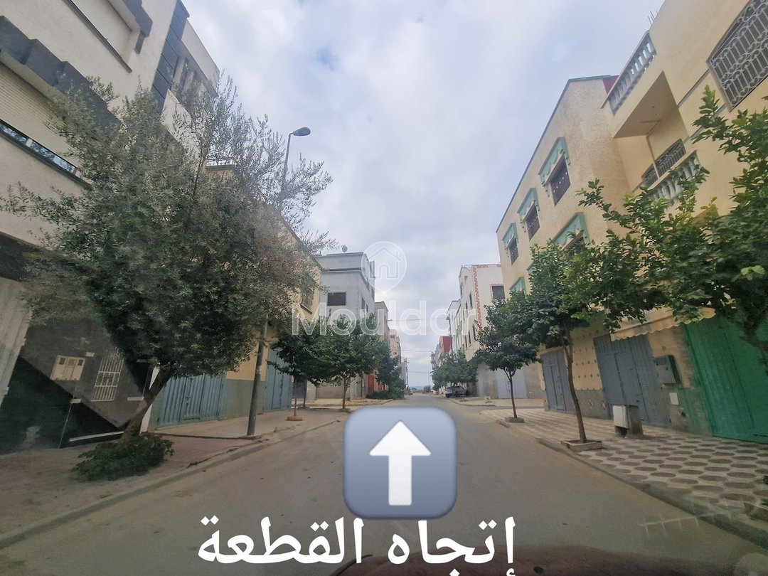 Land for Sale in Ksar el-Kebir: Unique Opportunity - Photo 2