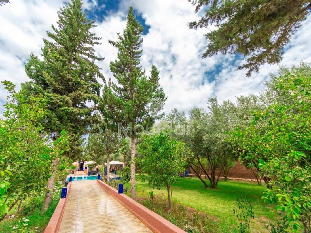 Vila de sonho em Marrakech: conforto e luxo incluídos - Photo 18