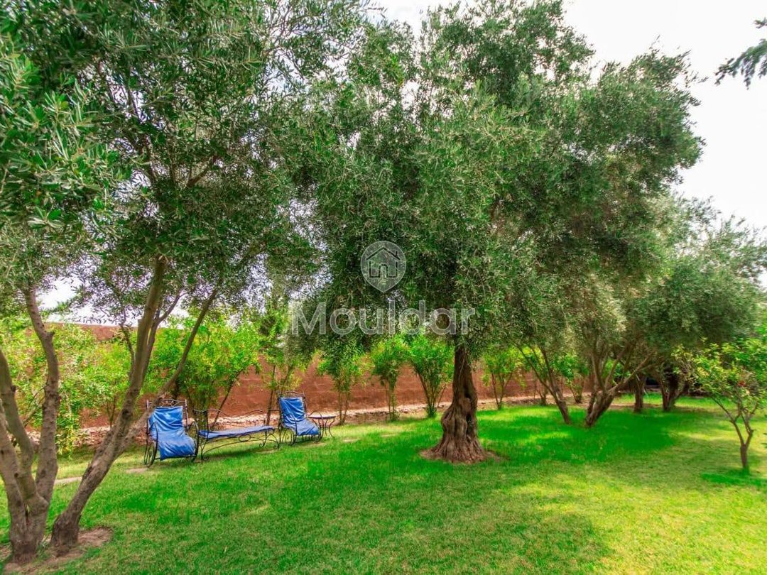 Vila de sonho em Marrakech: conforto e luxo incluídos - Photo 20