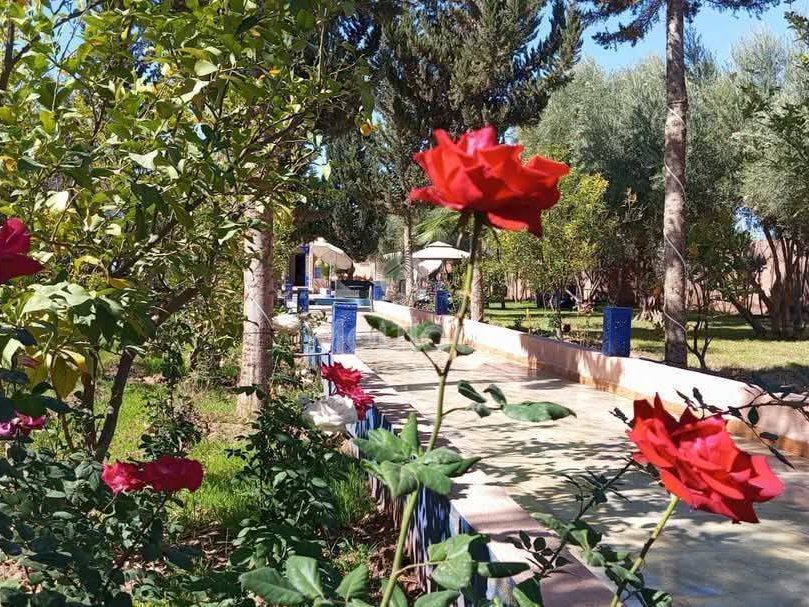 Vila de sonho em Marrakech: conforto e luxo incluídos - Photo 19