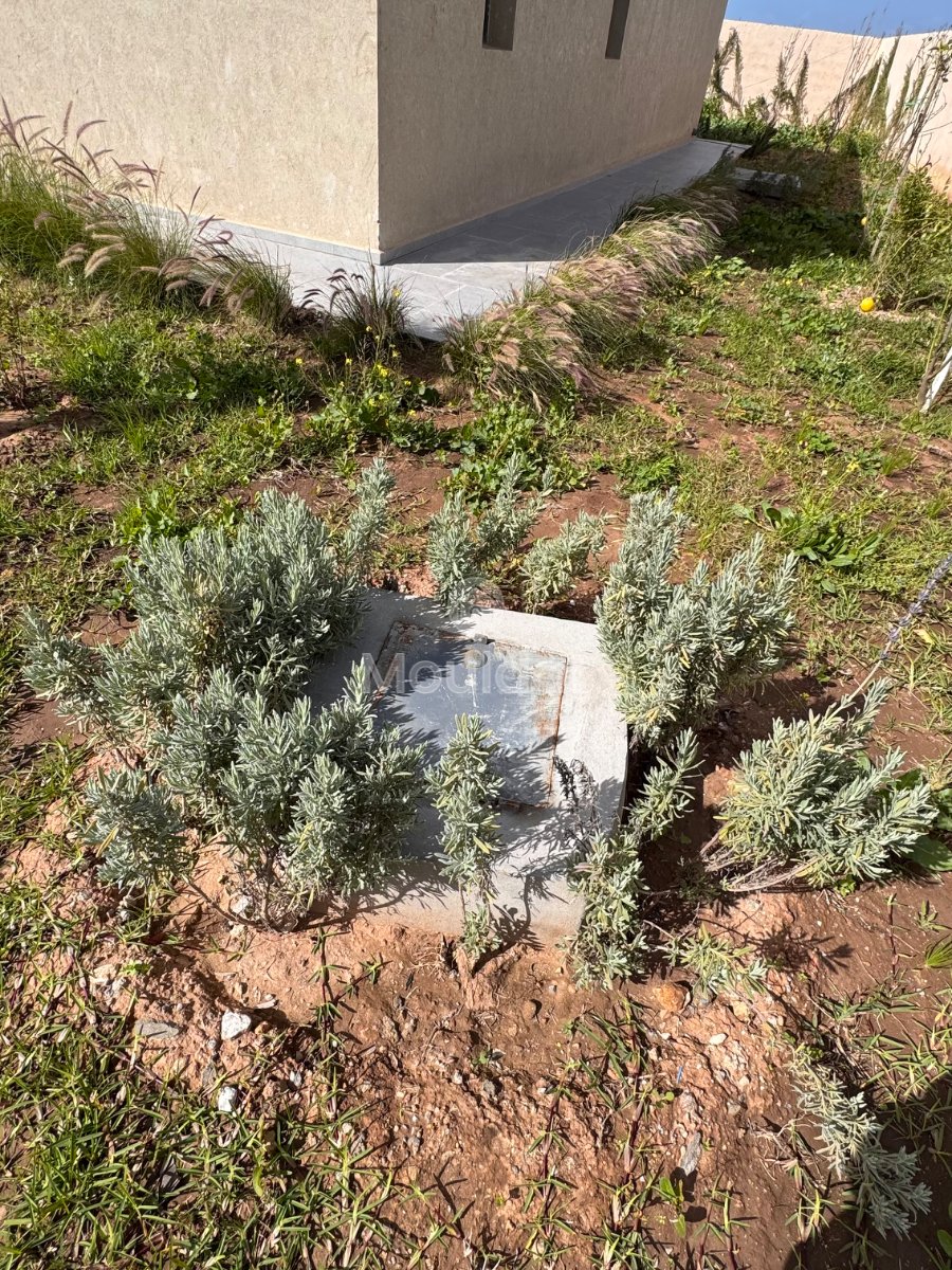 Villa de Rêve à Essaouira : 4 Chambres et Piscine - Photo 20