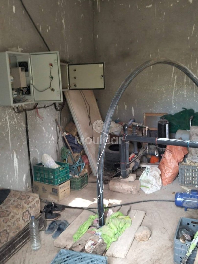 أرض زراعية للبيع في مراكش - 13,000 م² - Photo 9