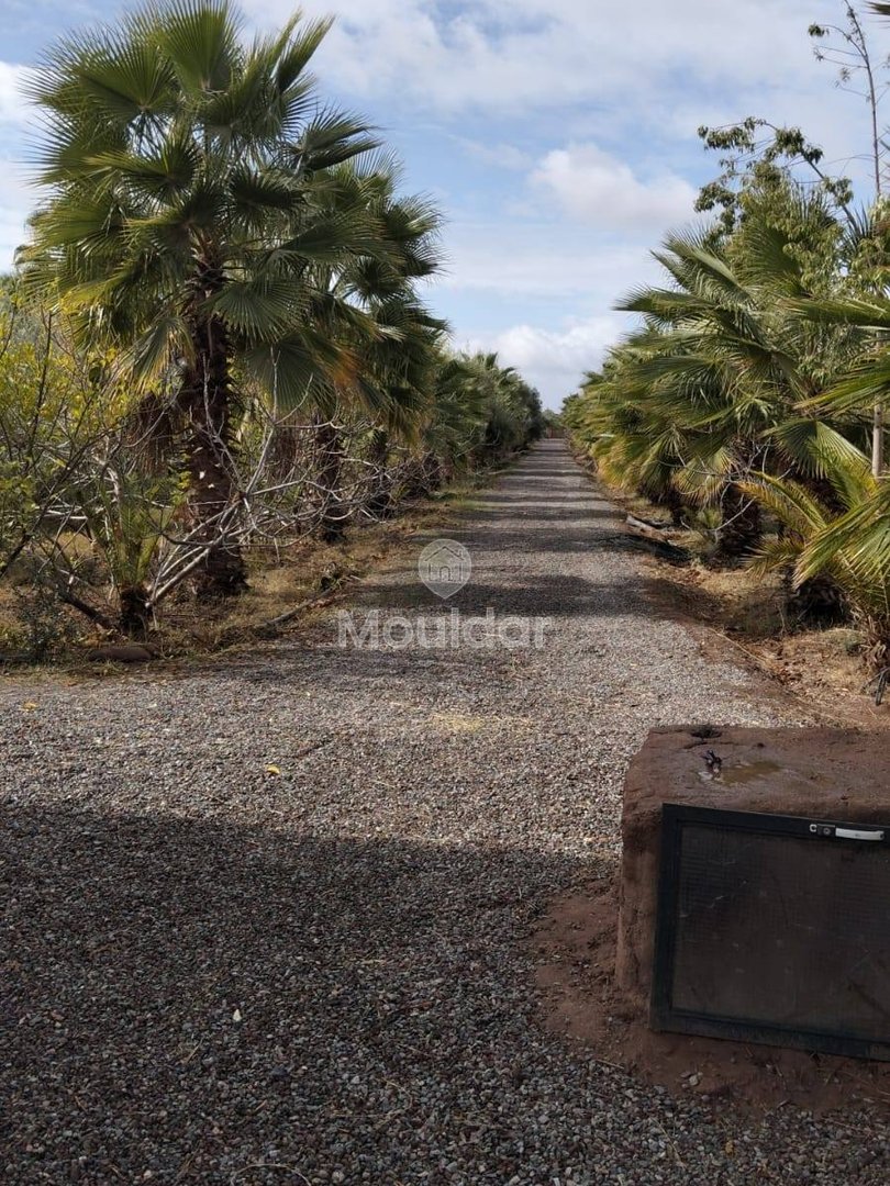 أرض زراعية للبيع في مراكش - 13,000 م² - Photo 8
