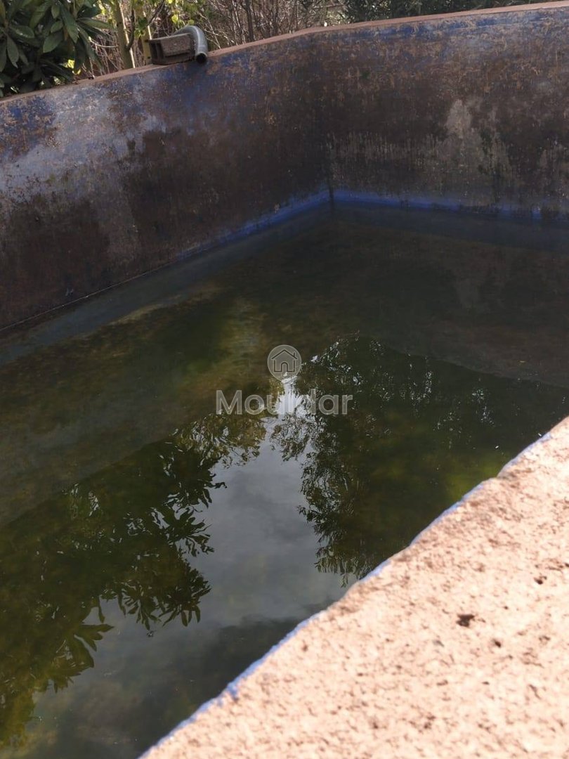 أرض زراعية للبيع في مراكش - 13,000 م² - Photo 16