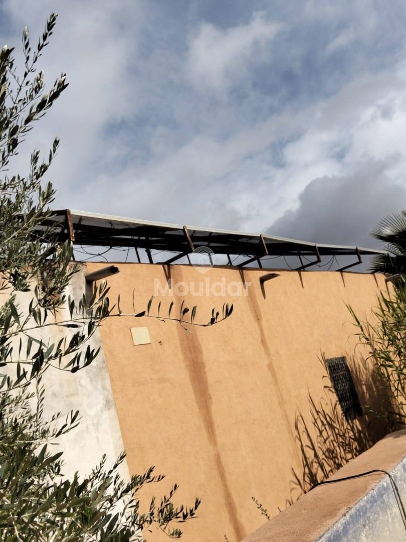 أرض زراعية للبيع في مراكش - 13,000 م² - Photo 15