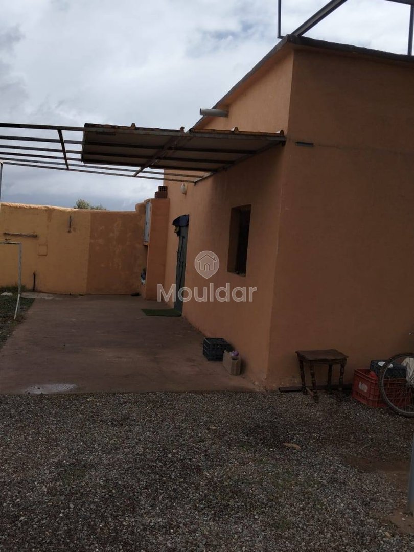 أرض زراعية للبيع في مراكش - 13,000 م² - Photo 6