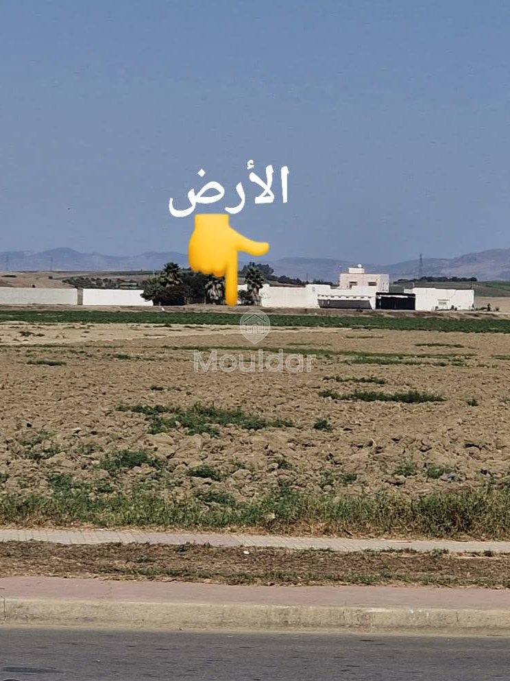 Land for sale in Ksar el-Kebir: exceptional opportunity - Photo 9