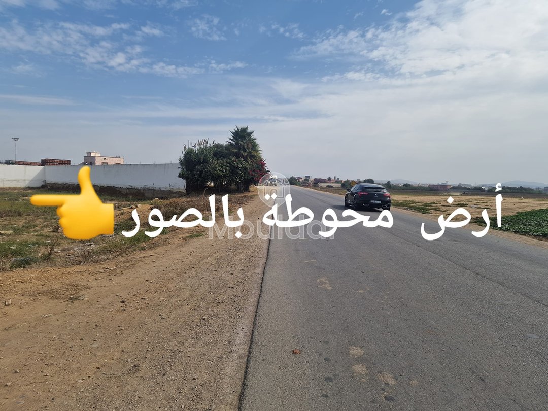 Land for sale in Ksar el-Kebir: exceptional opportunity - Photo 3