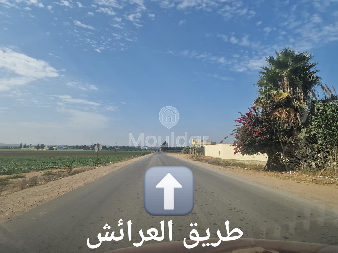 Land for sale in Ksar el-Kebir: exceptional opportunity - Photo 8