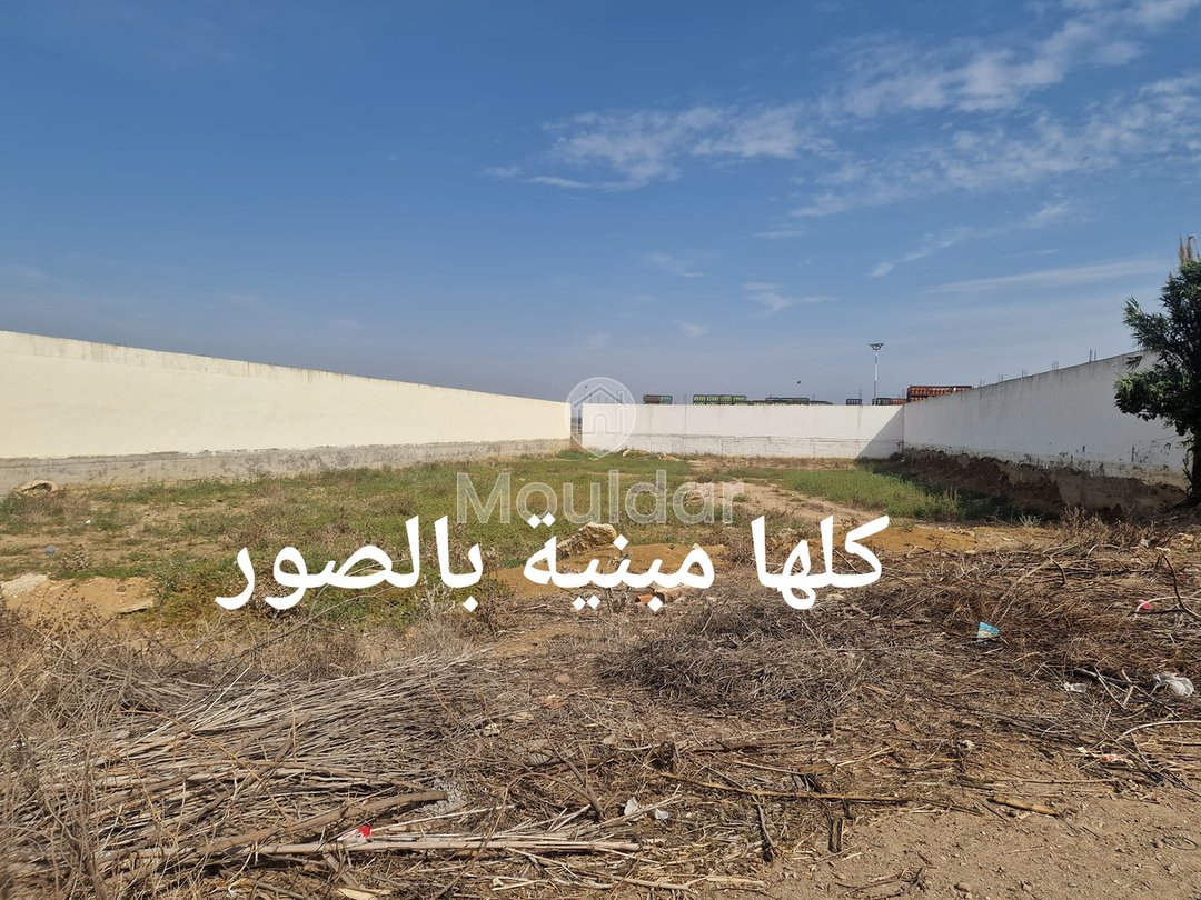 Land for sale in Ksar el-Kebir: exceptional opportunity - Photo 5