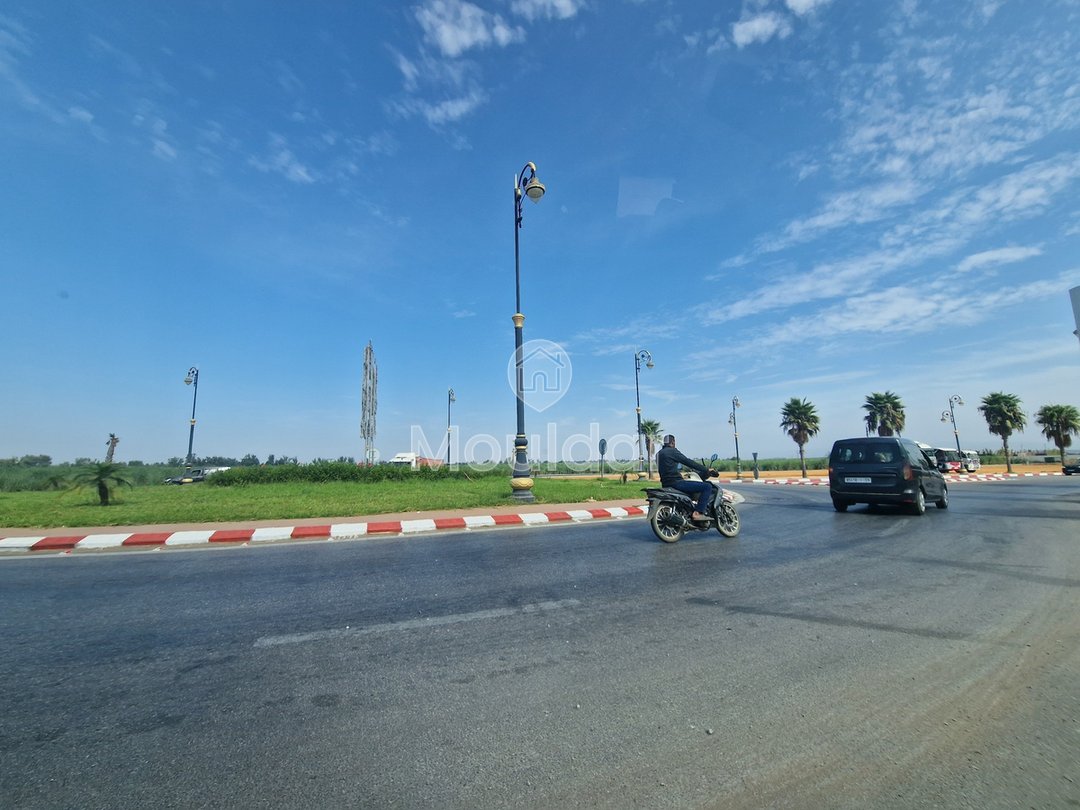 Land for sale in Ksar el-Kebir: exceptional opportunity - Photo 6