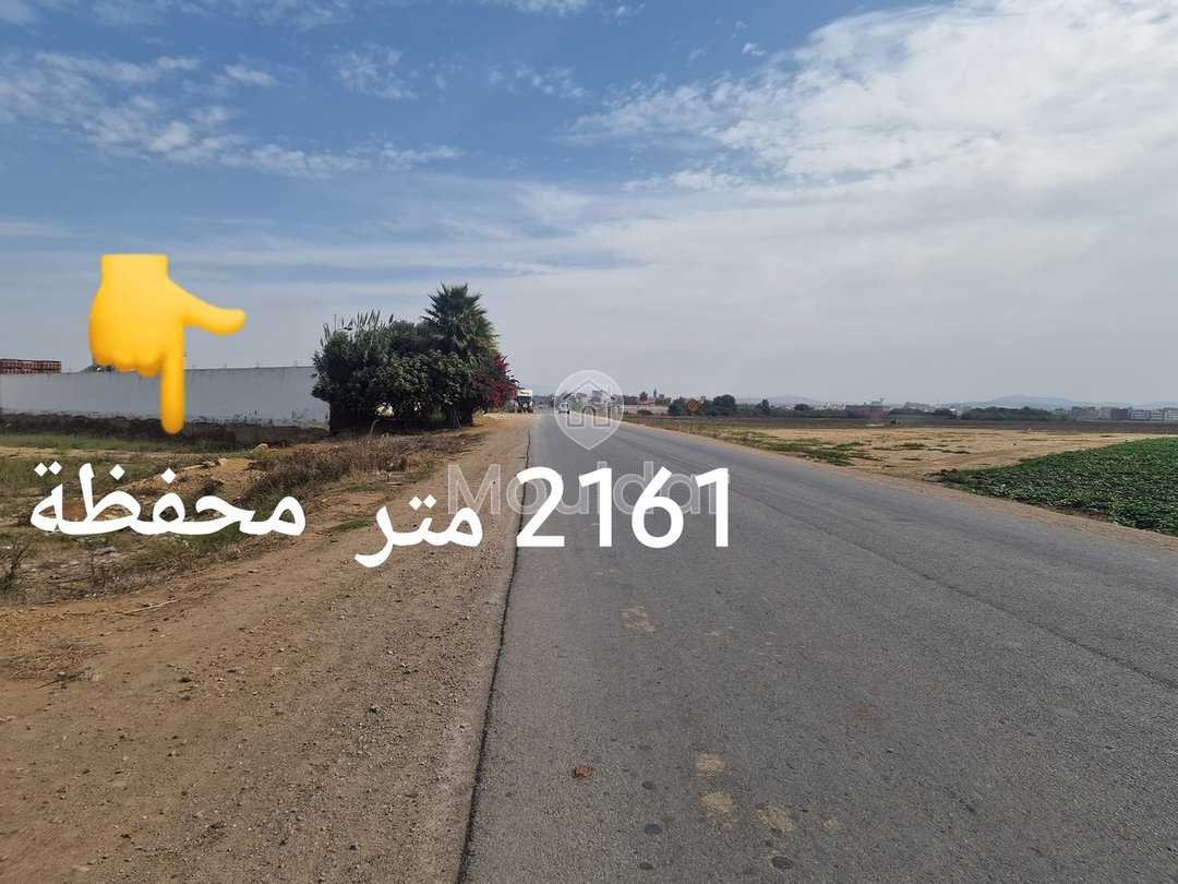 Land for sale in Ksar el-Kebir: exceptional opportunity - Photo 4