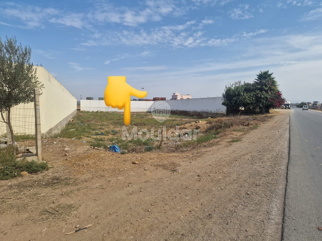 Land for sale in Ksar el-Kebir: exceptional opportunity - Photo 1