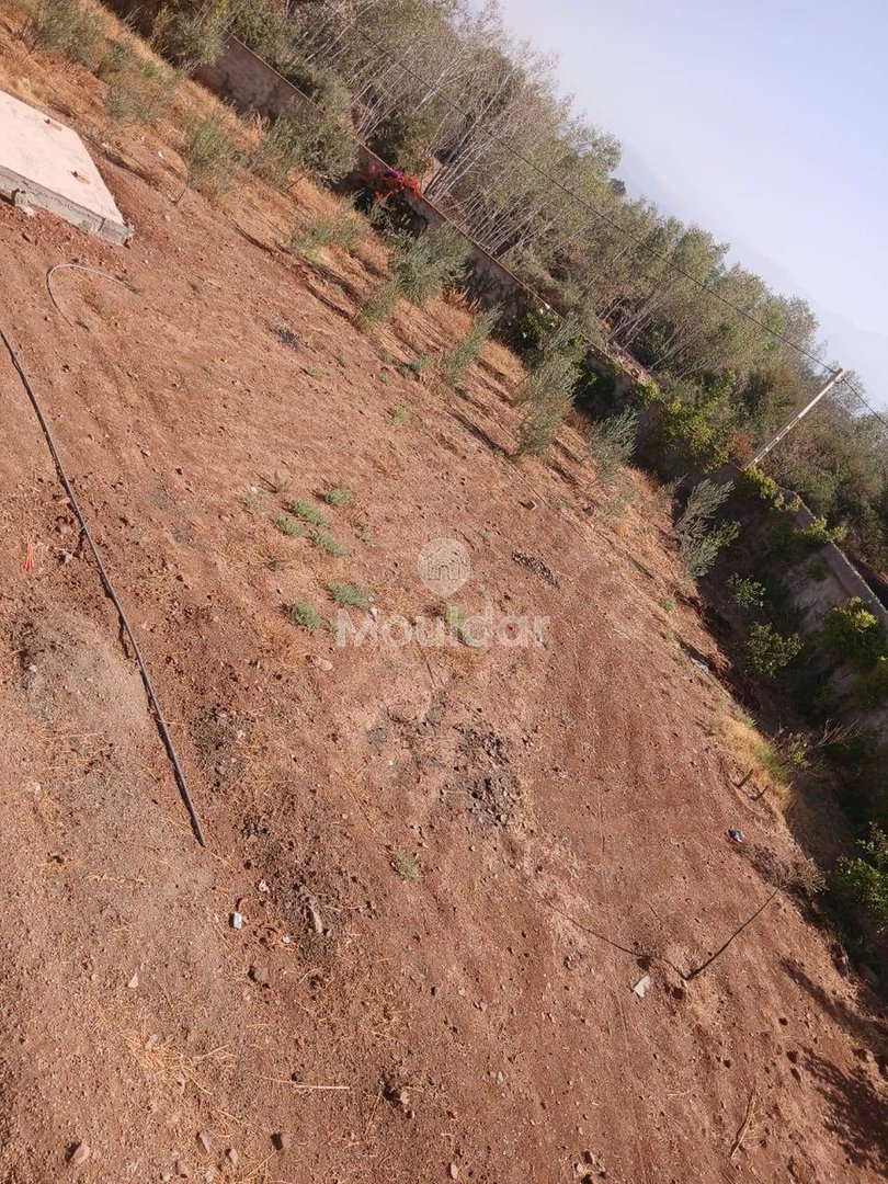 منزل أحلام للبيع في مراكش - 2400م² - Photo 3