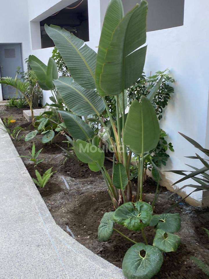 Luxury apartment in Tangier with pool and exceptional terrace - Photo 15