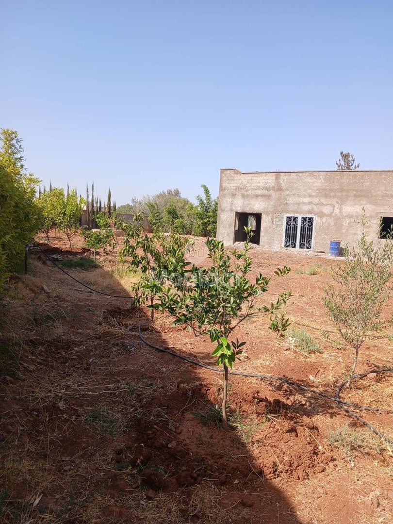 منزل أحلام للبيع في مراكش - 2400م² - Photo 1