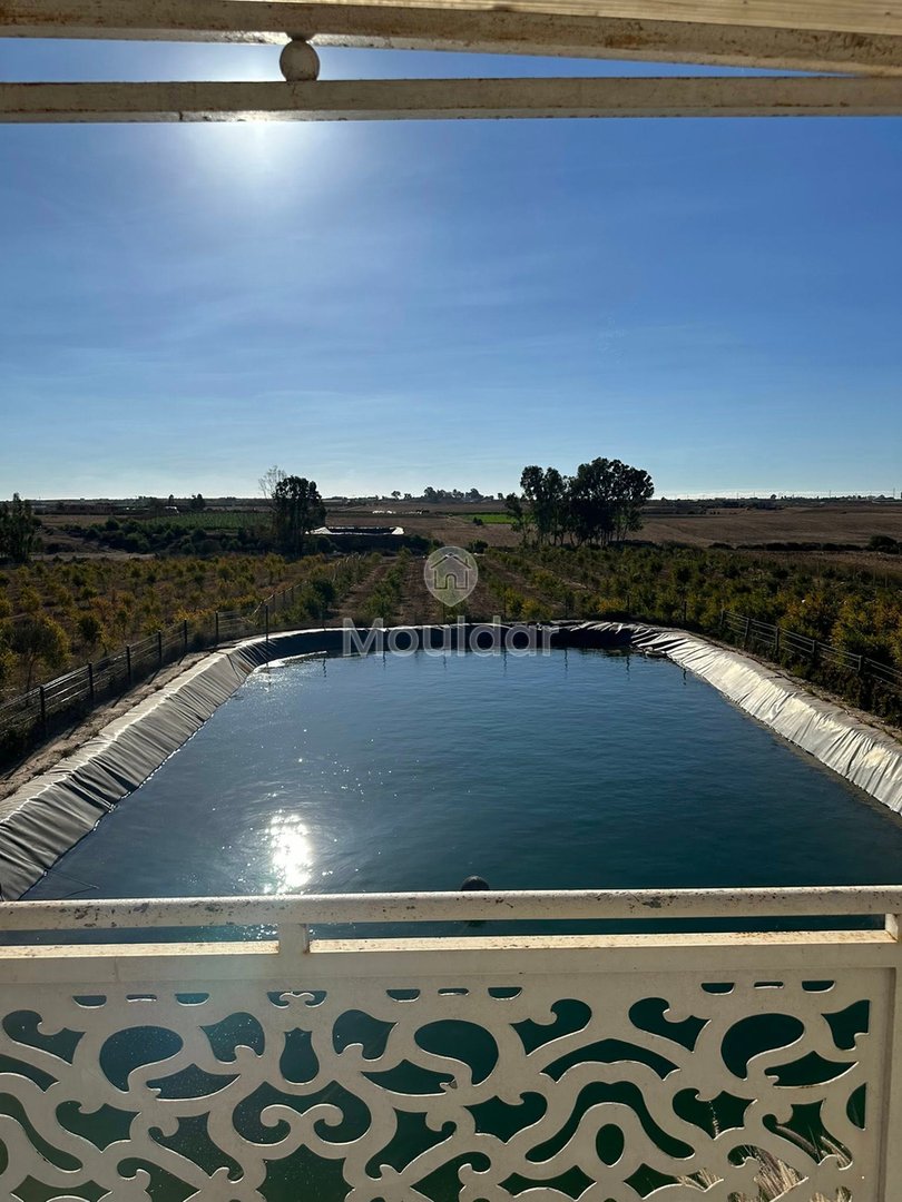Landwirtschaftsbetrieb zu verkaufen in Bouznika: Einzigartige Gelegenheit - Photo 23