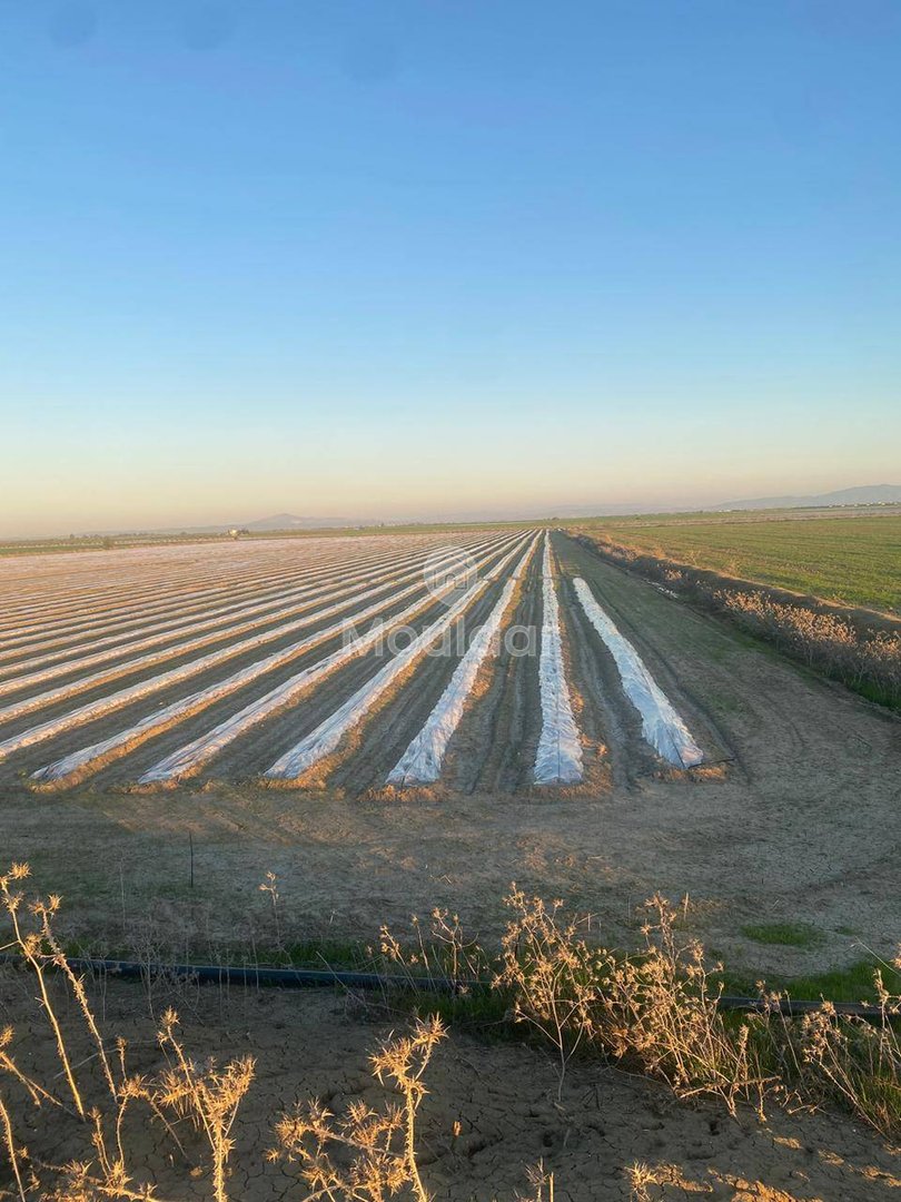 Wyjątkowa farma na sprzedaż w Sidi Slimane z cechami ekologicznymi - Photo 1