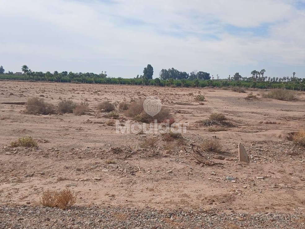 أرض للبيع في مراكش: فرصة لبناية على 2519م² - Photo 4