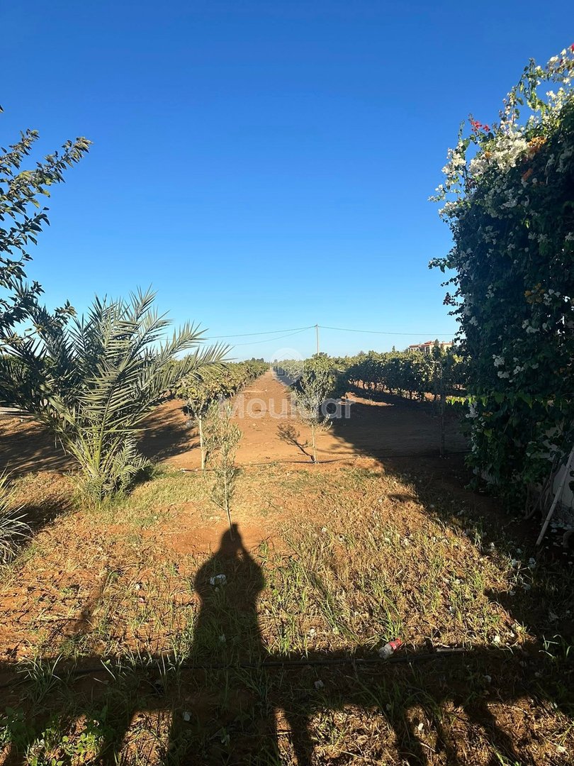 Landwirtschaftsbetrieb zu verkaufen in Bouznika: Einzigartige Gelegenheit - Photo 20